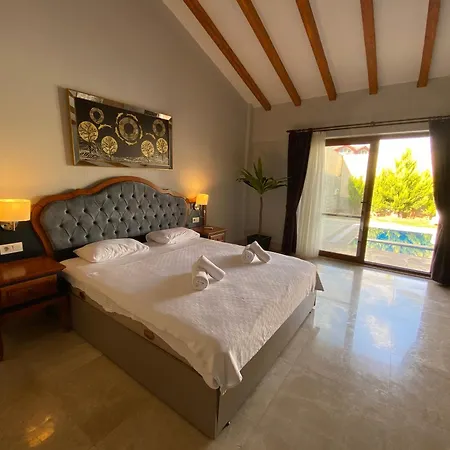 ヴィラ Tlos 3+1 Villa, Oezel Havuzlu, *
